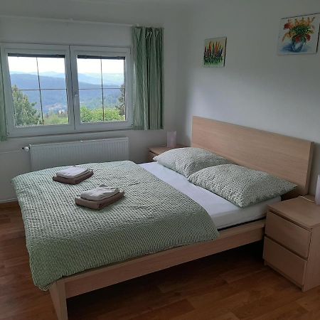 Naproti Klínovci Jáchymov Exterior foto